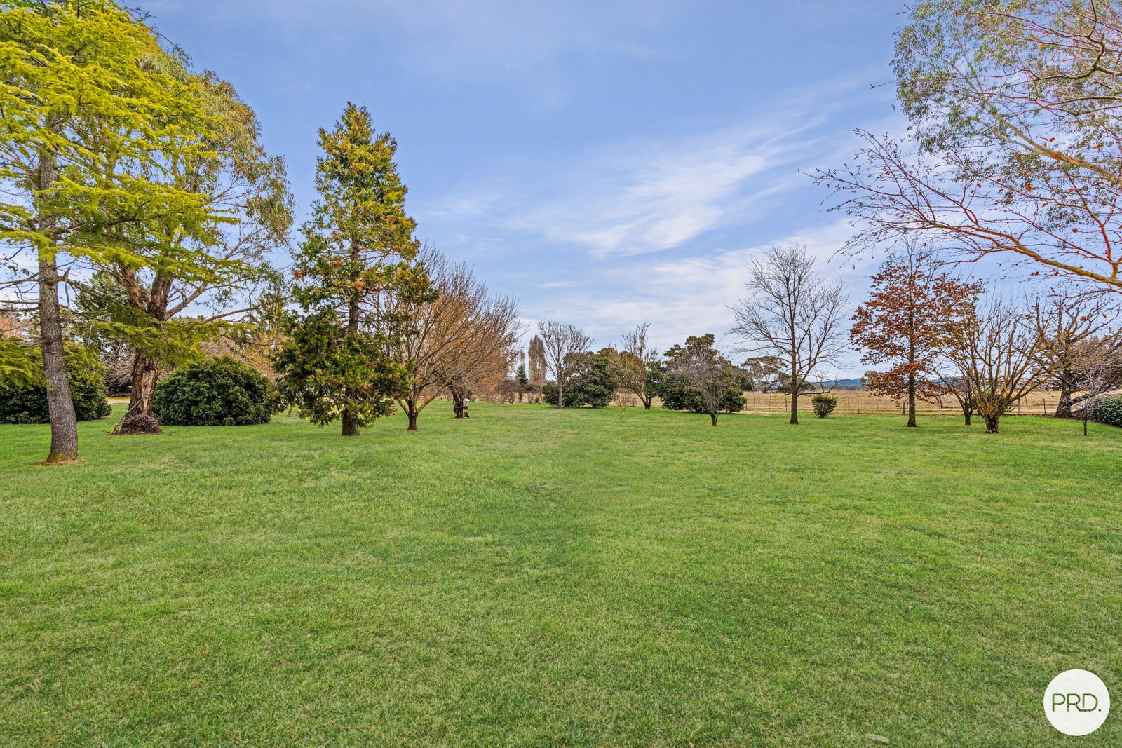 85 Cully Road ORANGE 23