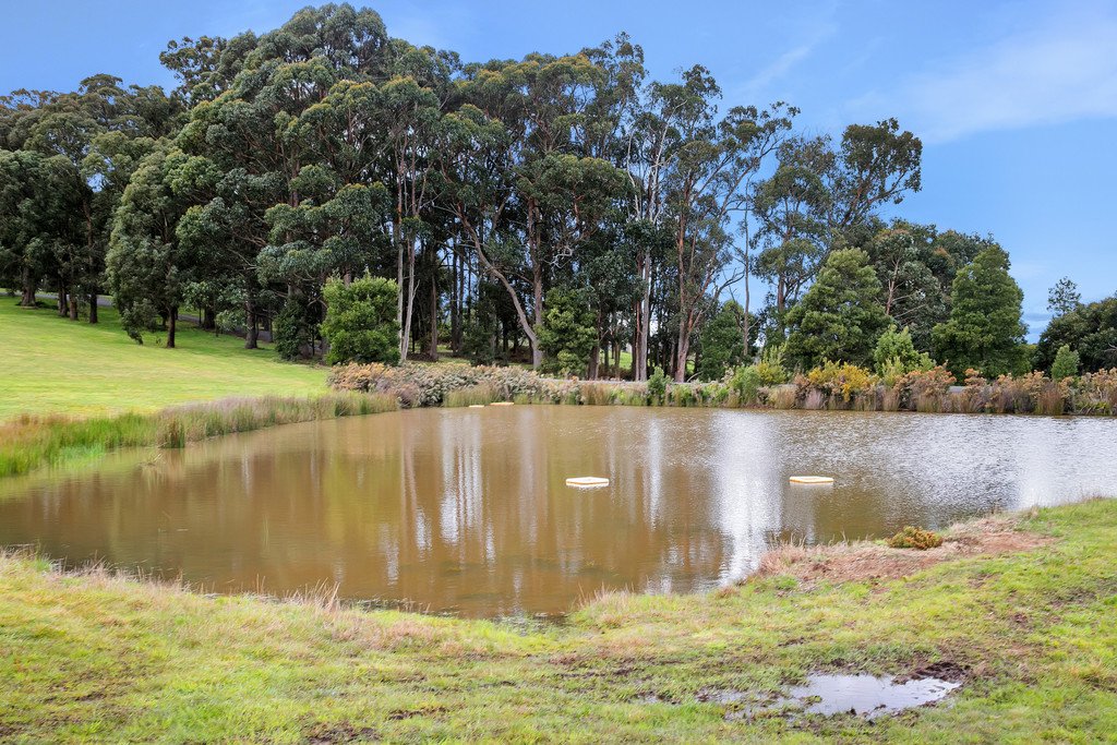 85 Evergreen Way GORDON 20