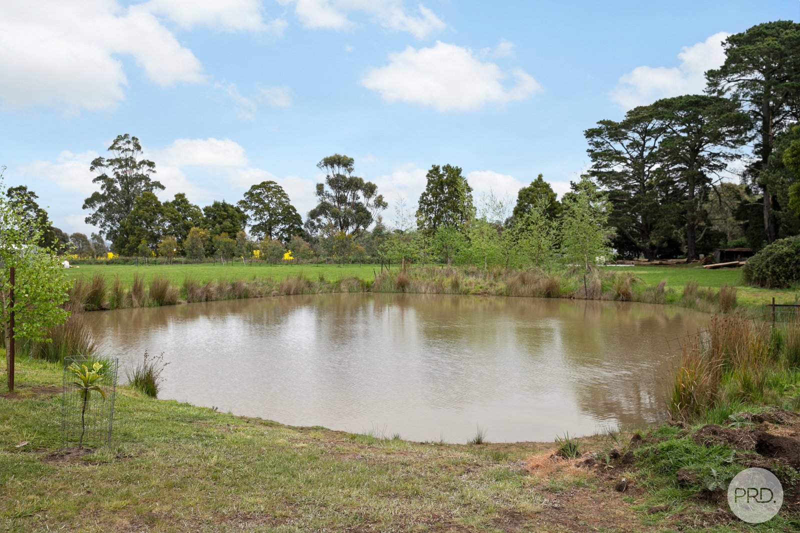 85 Greenes Lane GORDON 21