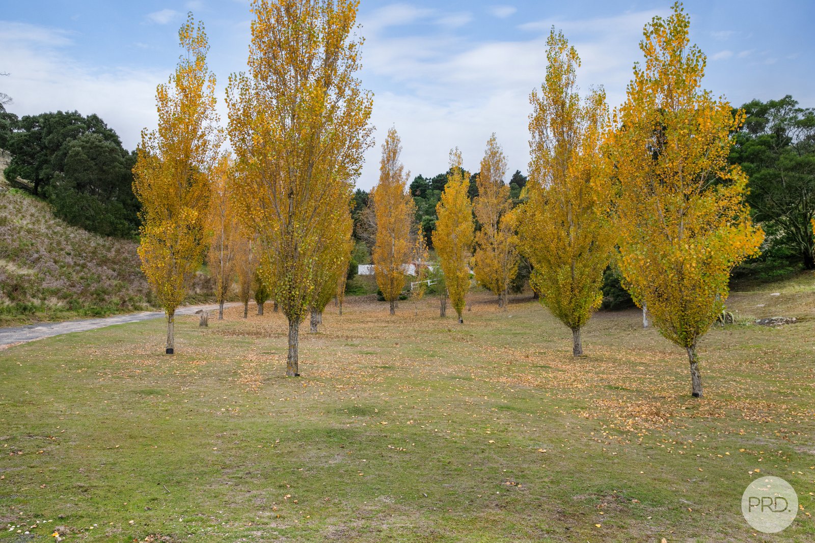 85 Laverys Road MOUNT BOLTON 3