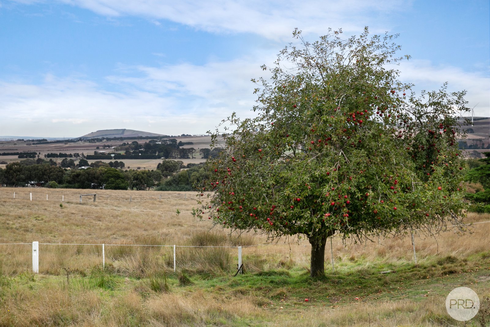 85 Laverys Road MOUNT BOLTON 7