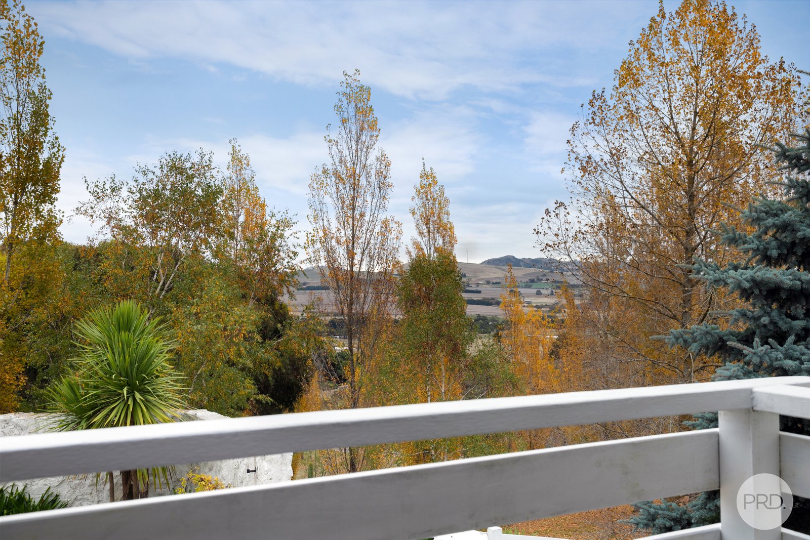 85 Laverys Road MOUNT BOLTON 16