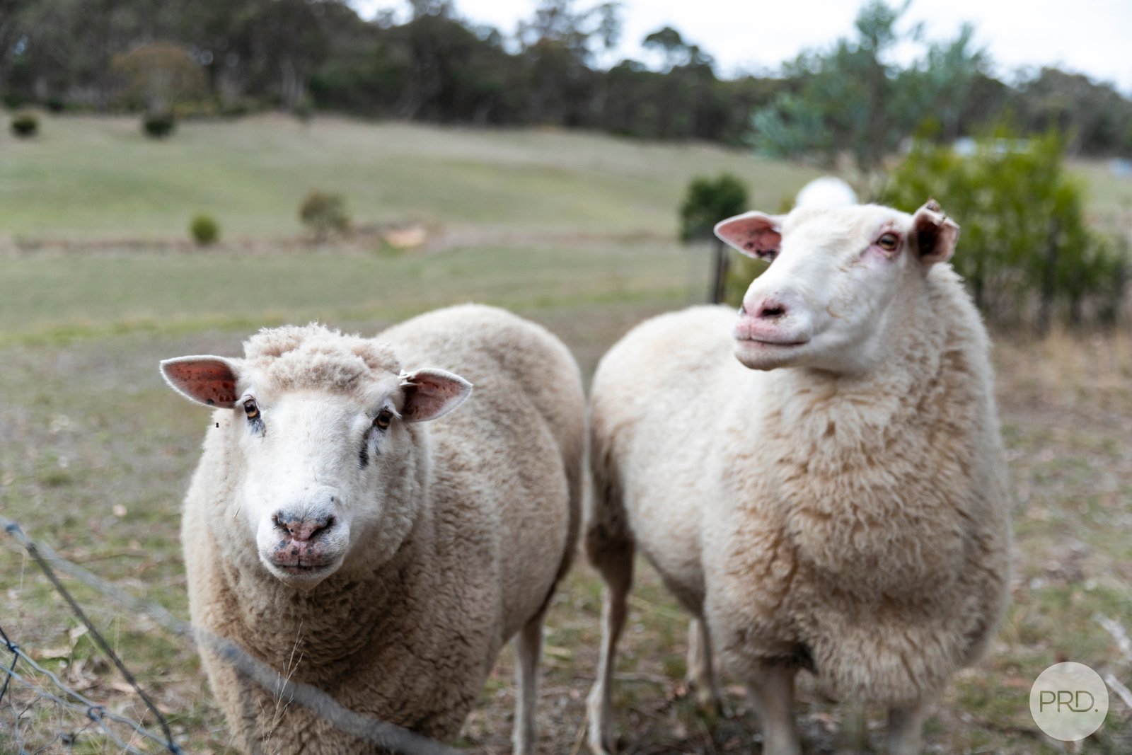 85 Whittles Road MOUNT GLASGOW 27