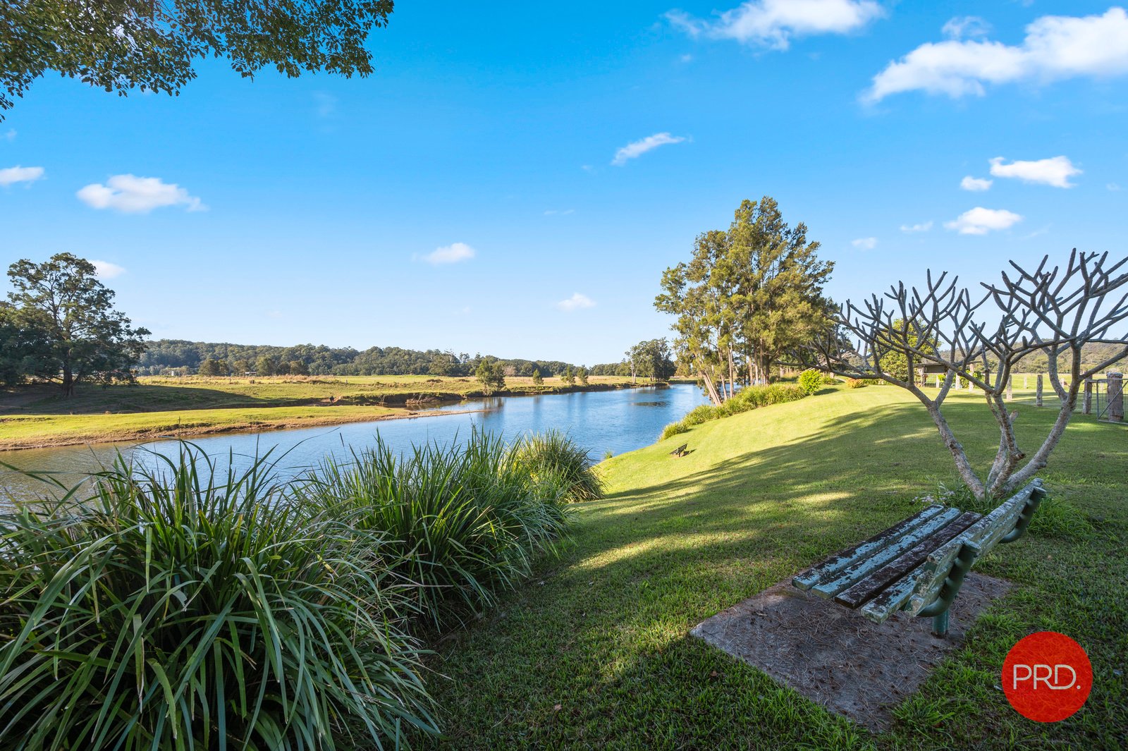 850 Waterfall Way FERNMOUNT 16