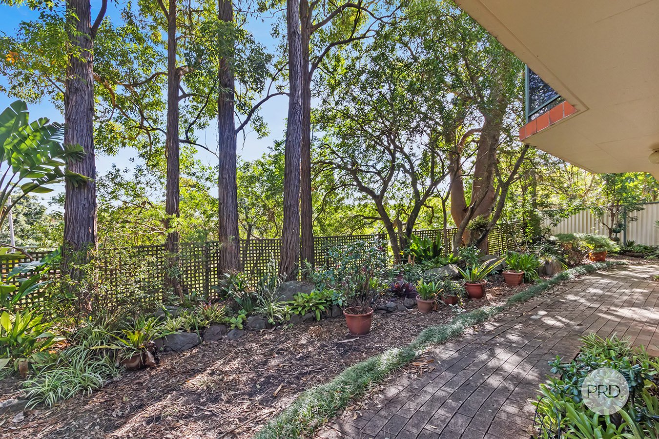 8/56 Oatley Parade OATLEY 11