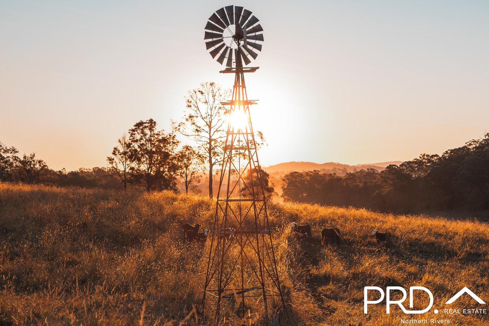 86-88 Windarra Place KYOGLE 18