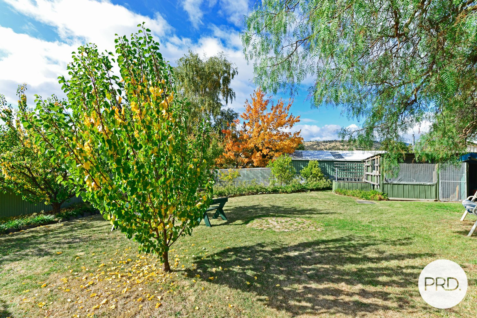 86 Blair Street NEW NORFOLK 23