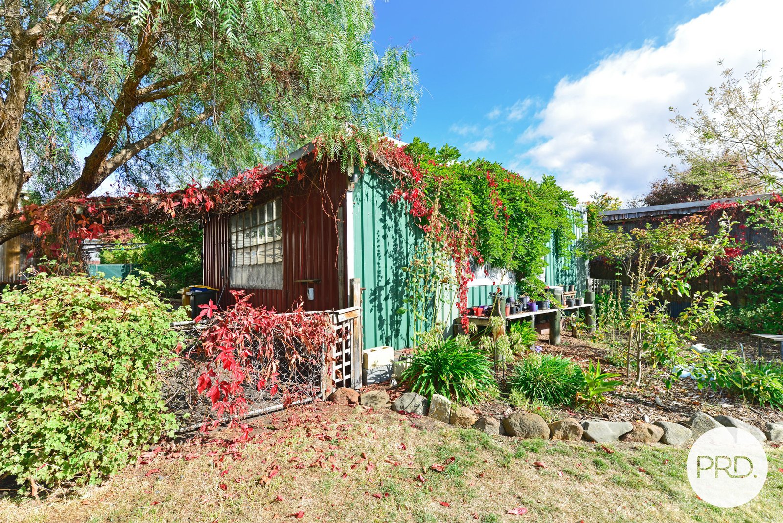 86 Blair Street NEW NORFOLK 31