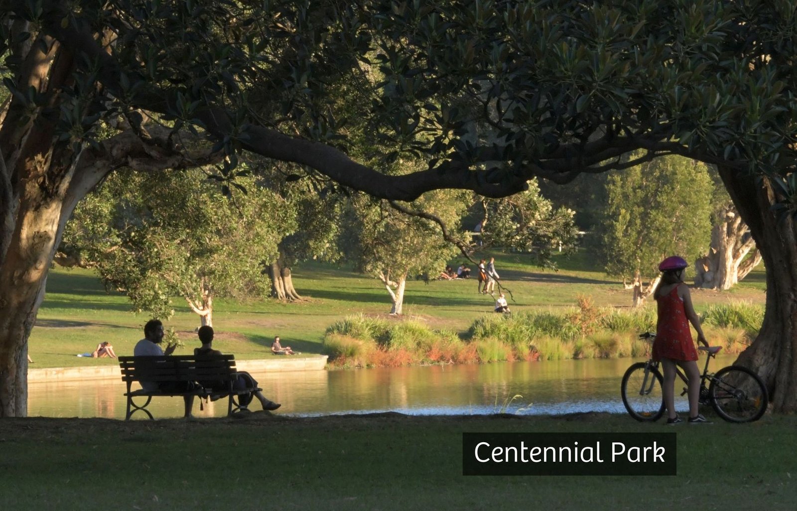 86 Clovelly Road RANDWICK 9