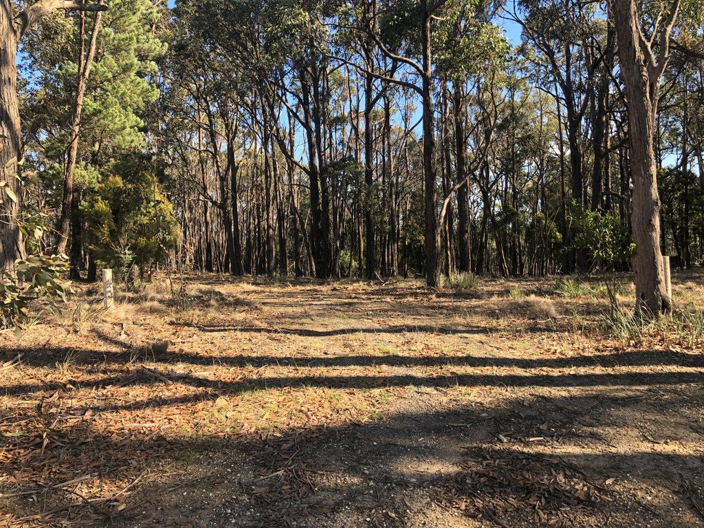 86 Davey Road SPRINGMOUNT 1