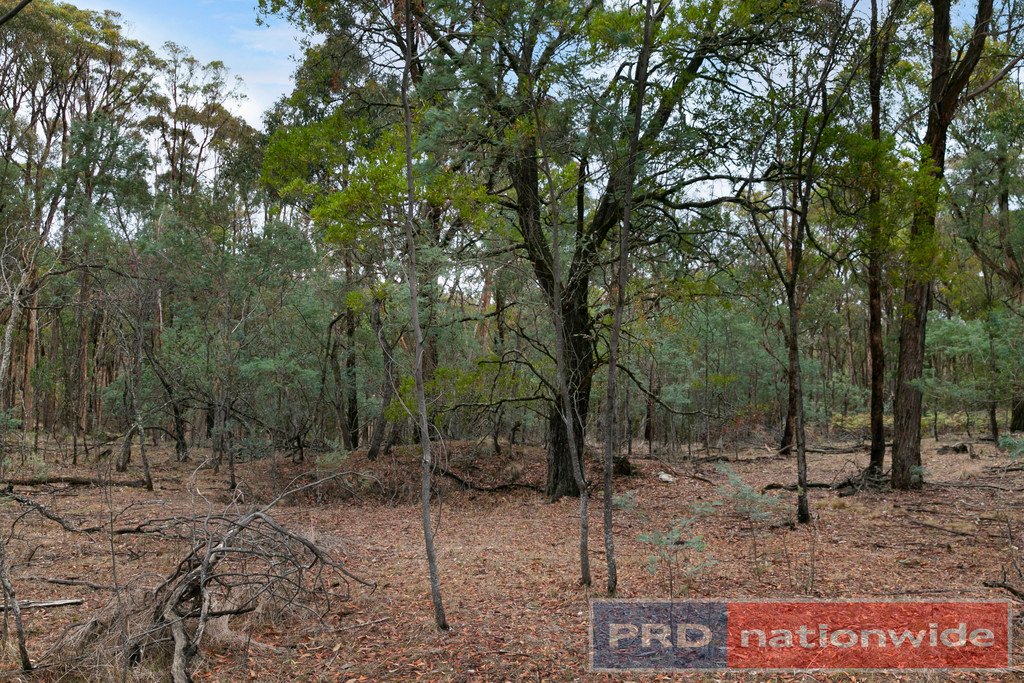 86 Davey Road SPRINGMOUNT 2