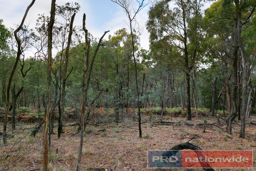 86 Davey Road SPRINGMOUNT 3