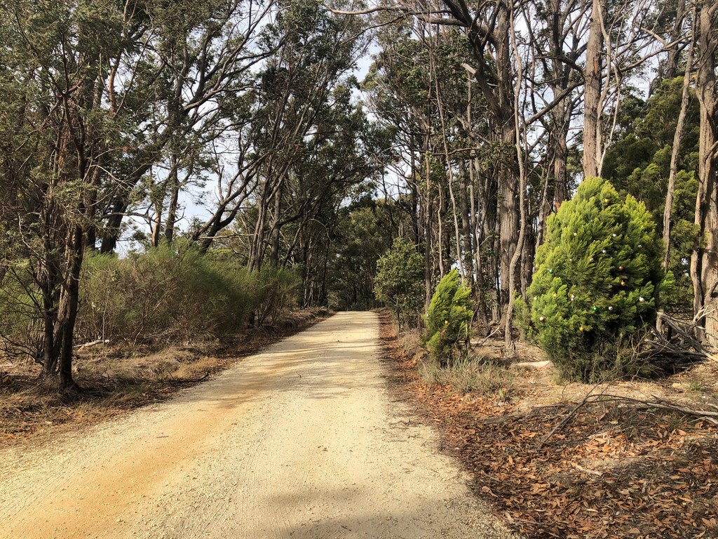 86 Davey Road SPRINGMOUNT 4