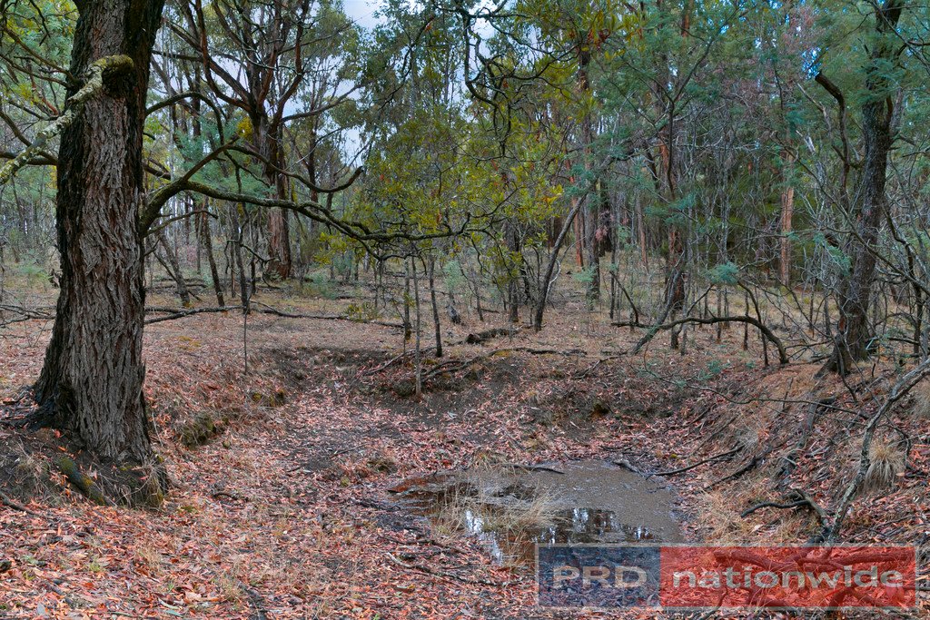 86 Davey Road SPRINGMOUNT 6