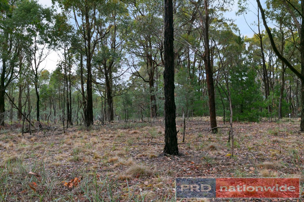 86 Davey Road SPRINGMOUNT 7