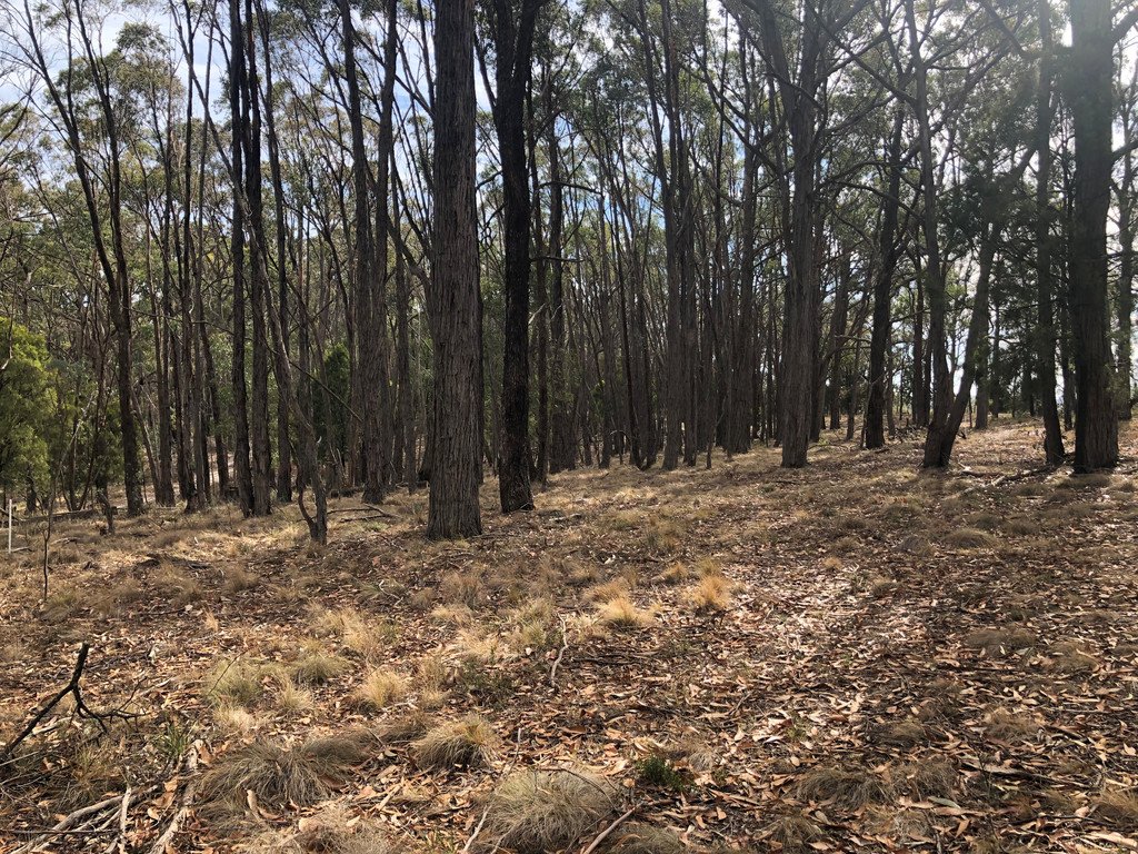 86 Davey Road SPRINGMOUNT 8