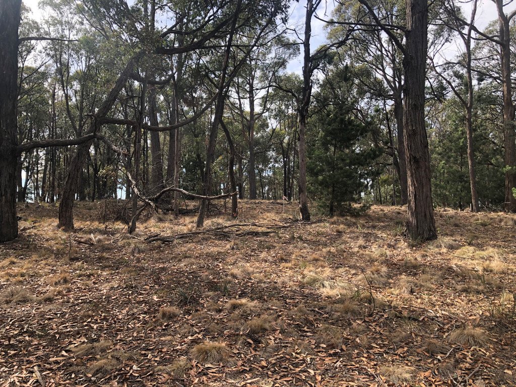 86 Davey Road SPRINGMOUNT 9