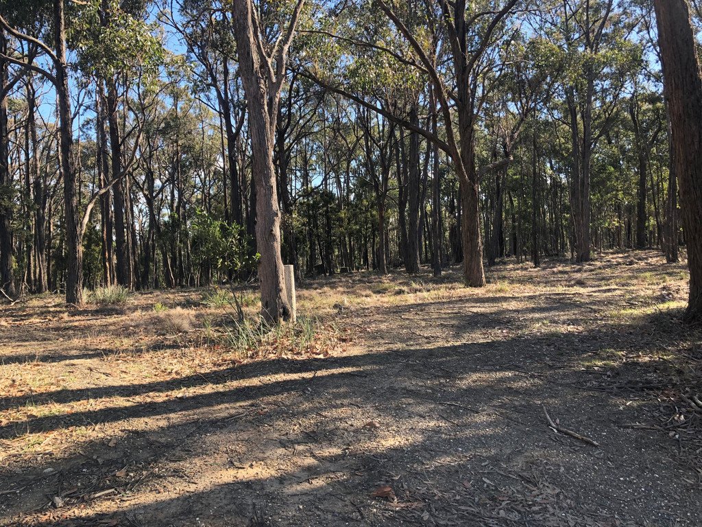 86 Davey Road SPRINGMOUNT 13