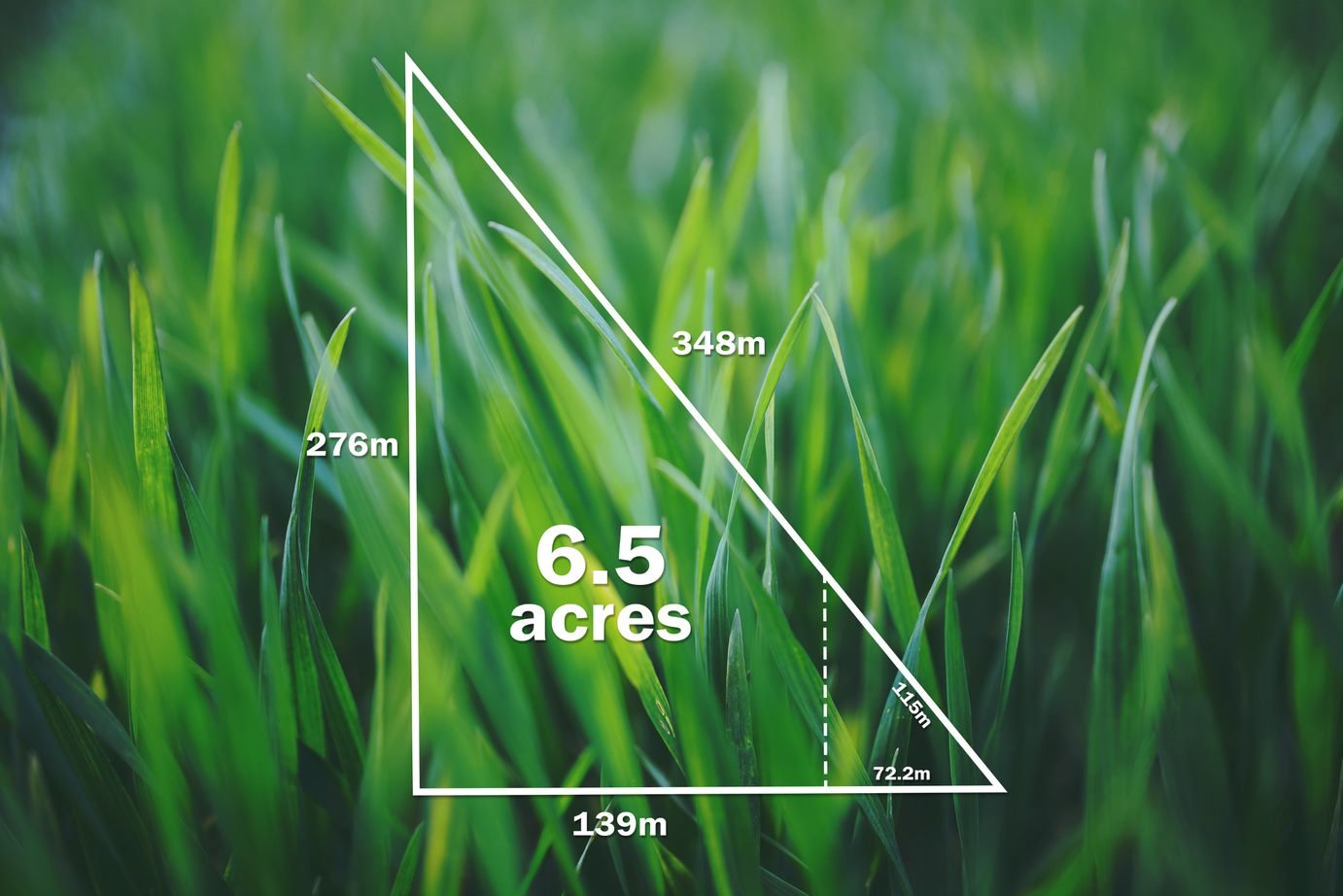 86 Davey Road SPRINGMOUNT 14