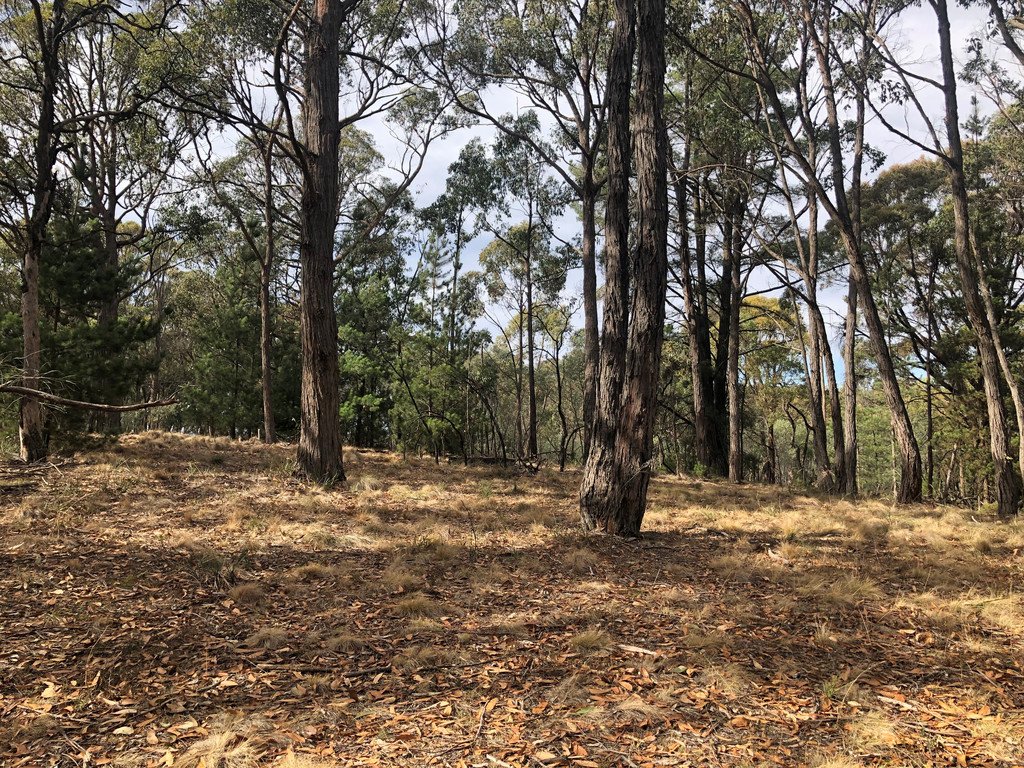 86 Davey Road SPRINGMOUNT 16