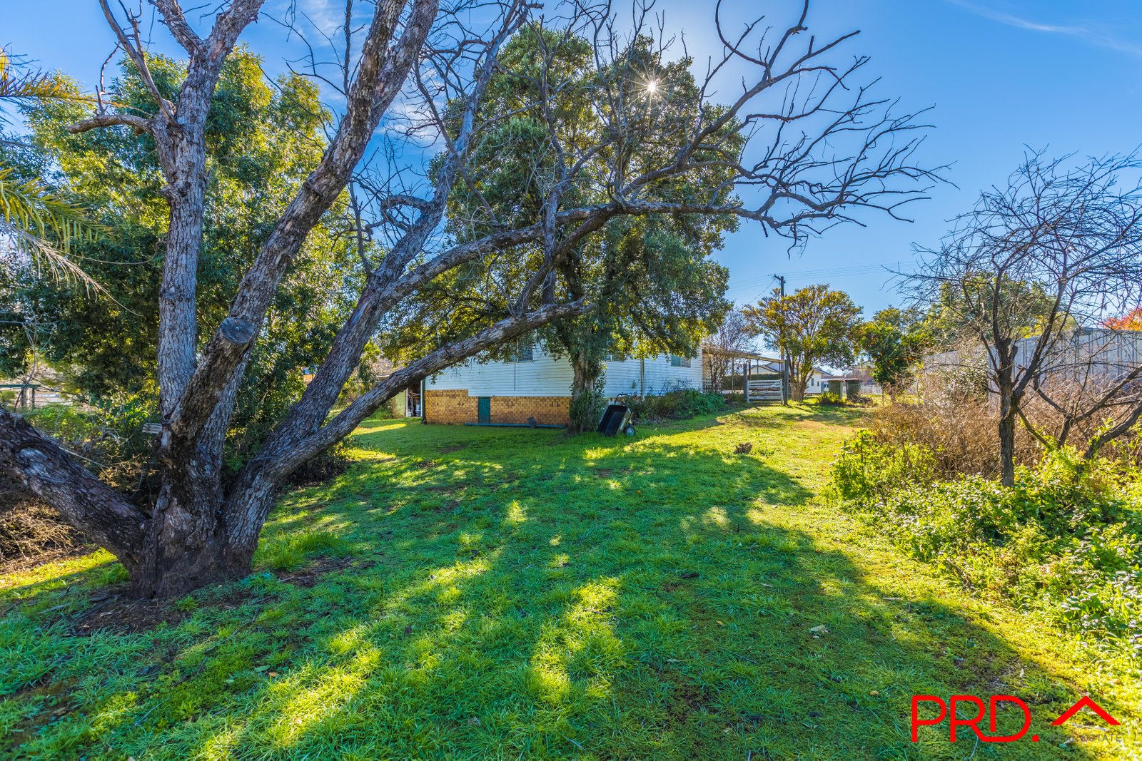 86 Namoi Street MANILLA 19