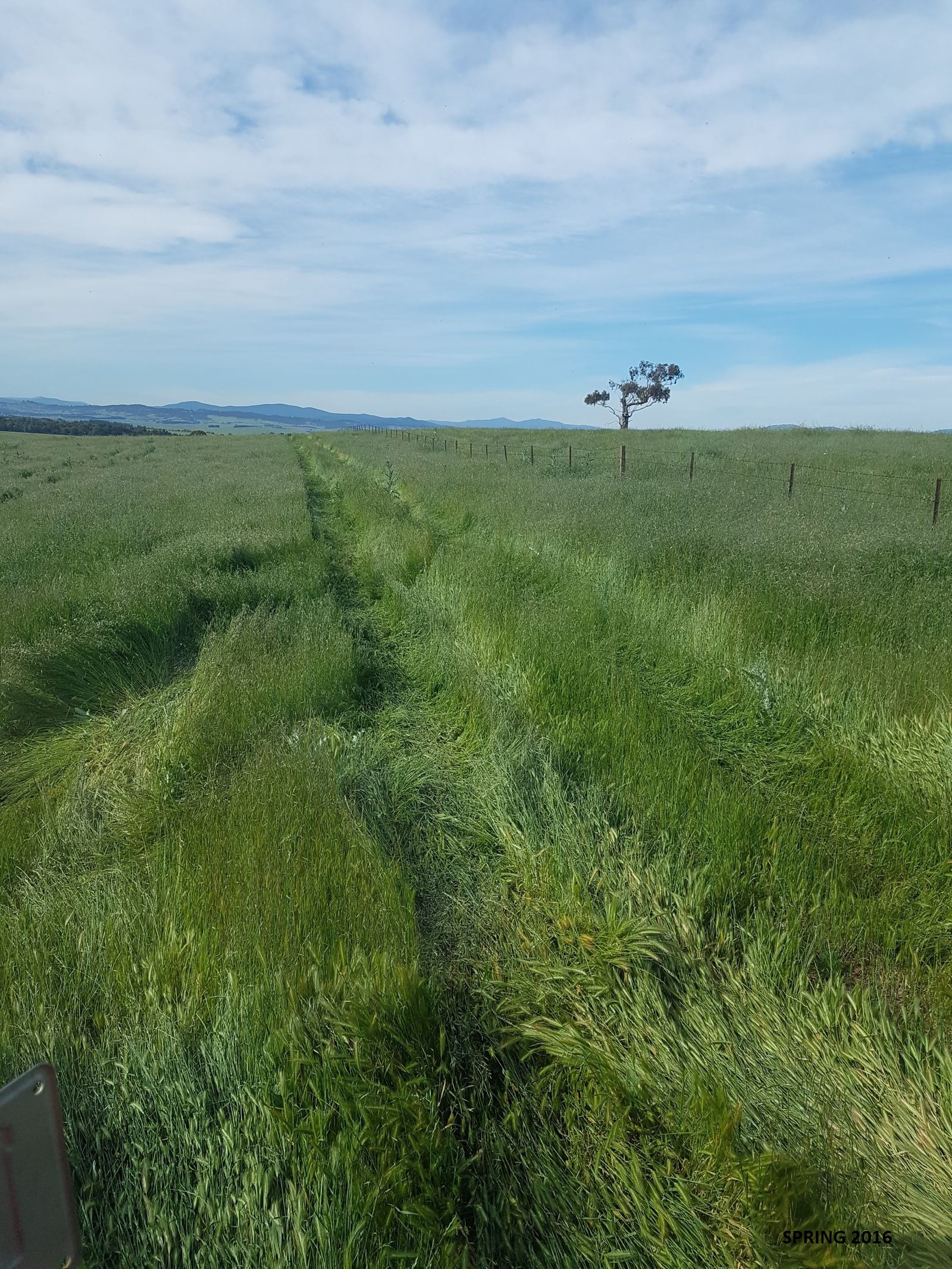 86 Neils Creek Road BUNGENDORE 4