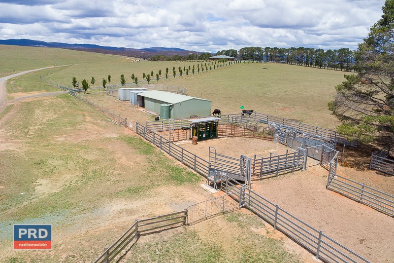 86 Neils Creek Road BUNGENDORE 5