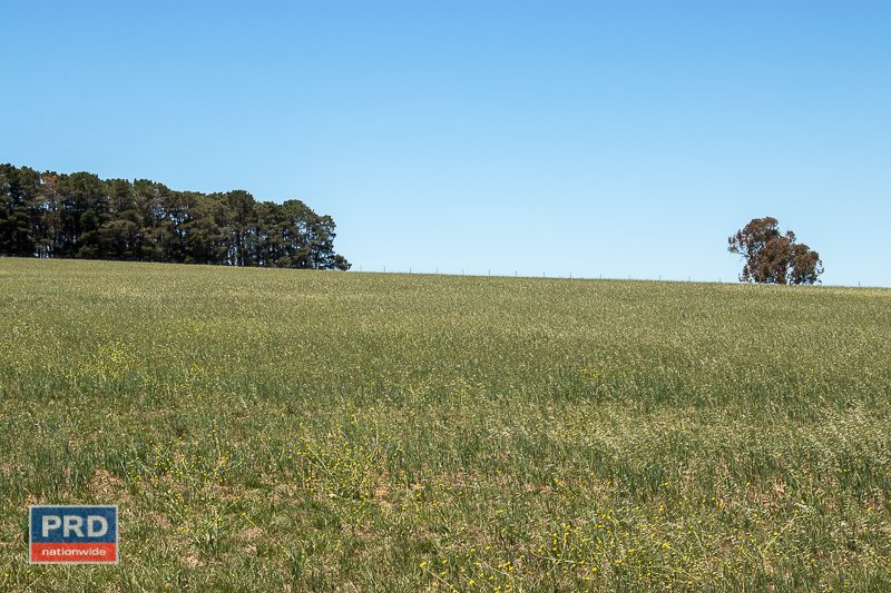 86 Neils Creek Road BUNGENDORE 7