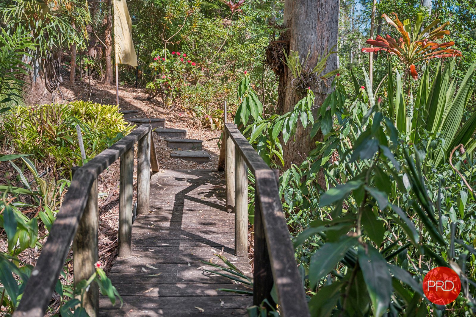 86 Roselands Drive COFFS HARBOUR 4