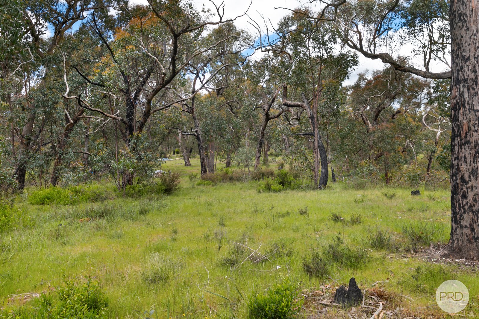 86 Station Lane CARNGHAM 2