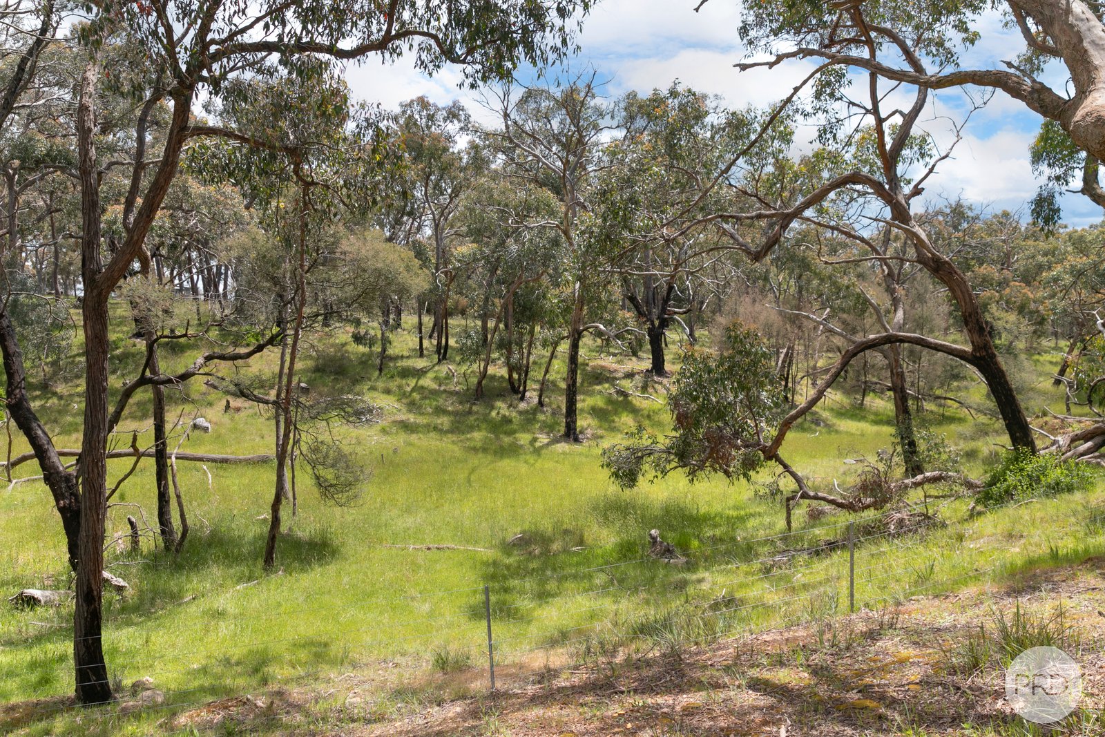 86 Station Lane CARNGHAM 4