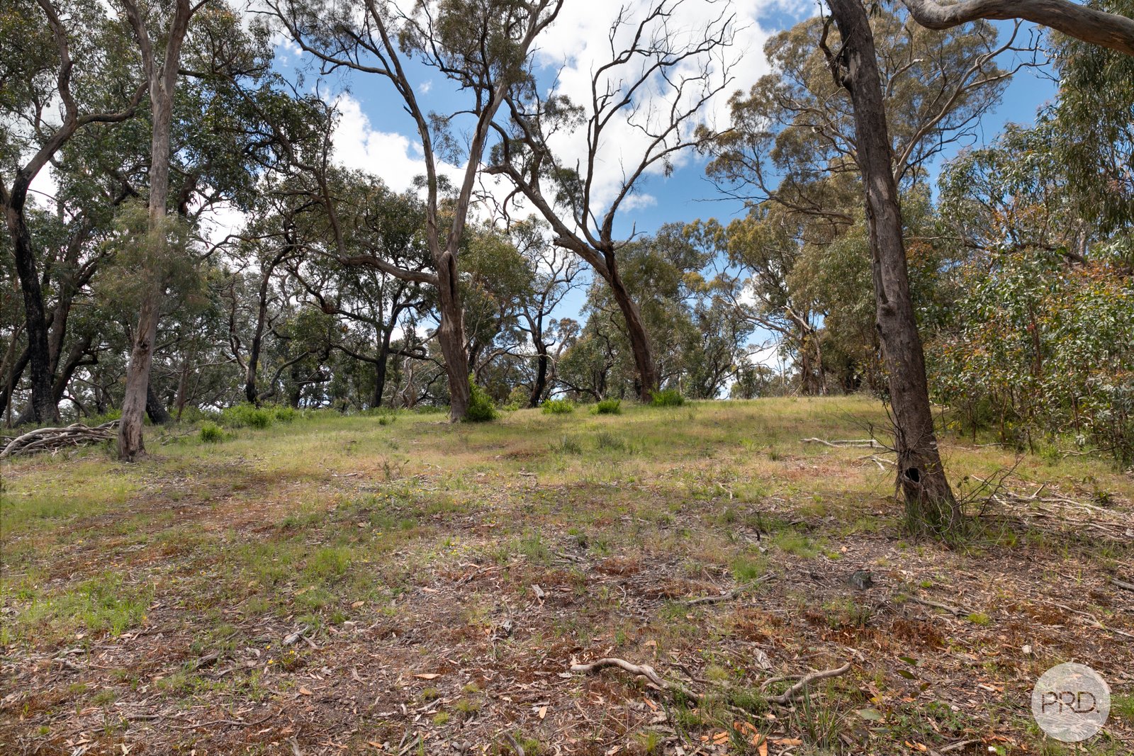 86 Station Lane CARNGHAM 6