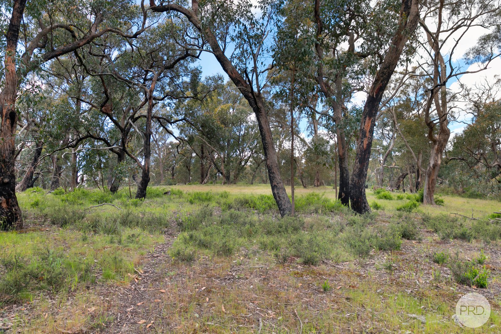 86 Station Lane CARNGHAM 7