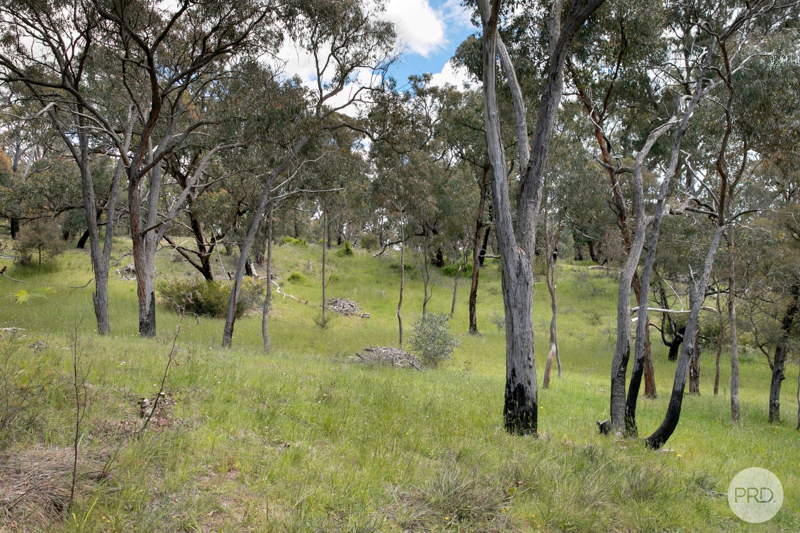 86 Station Lane CARNGHAM 11