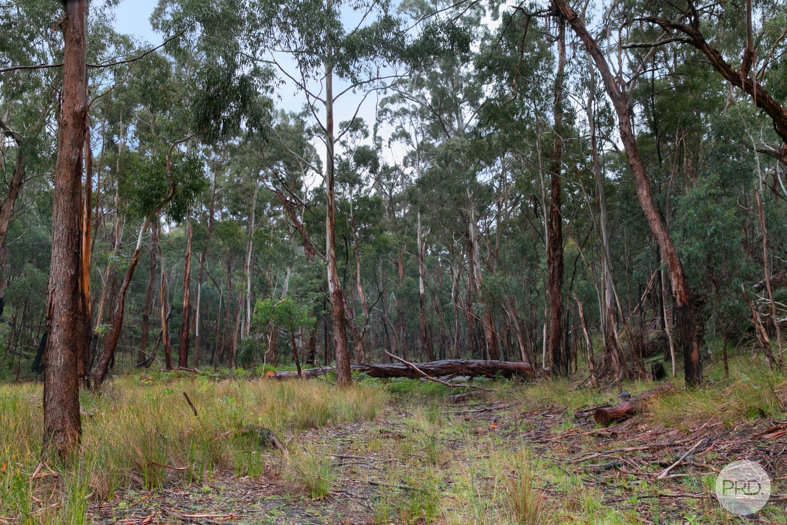 863 Staffordshire Reef Road BERRINGA 16