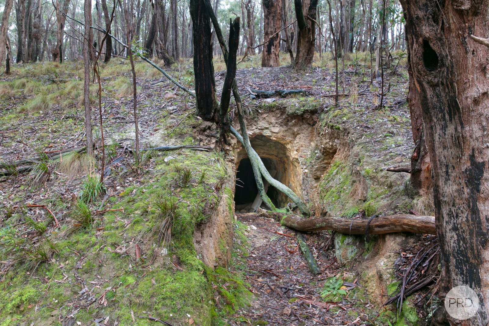 863 Staffordshire Reef Road BERRINGA 17