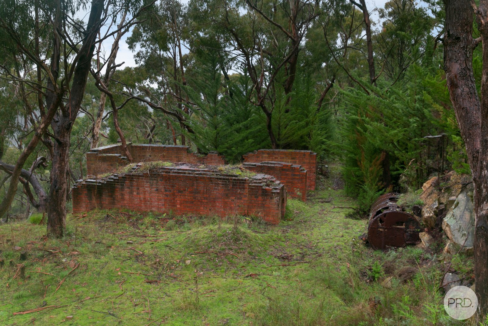 863 Staffordshire Reef Road BERRINGA 19