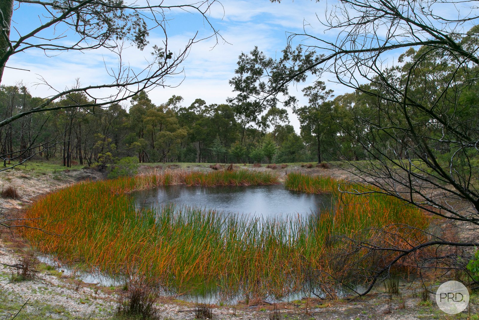 863 Staffordshire Reef Road BERRINGA 20