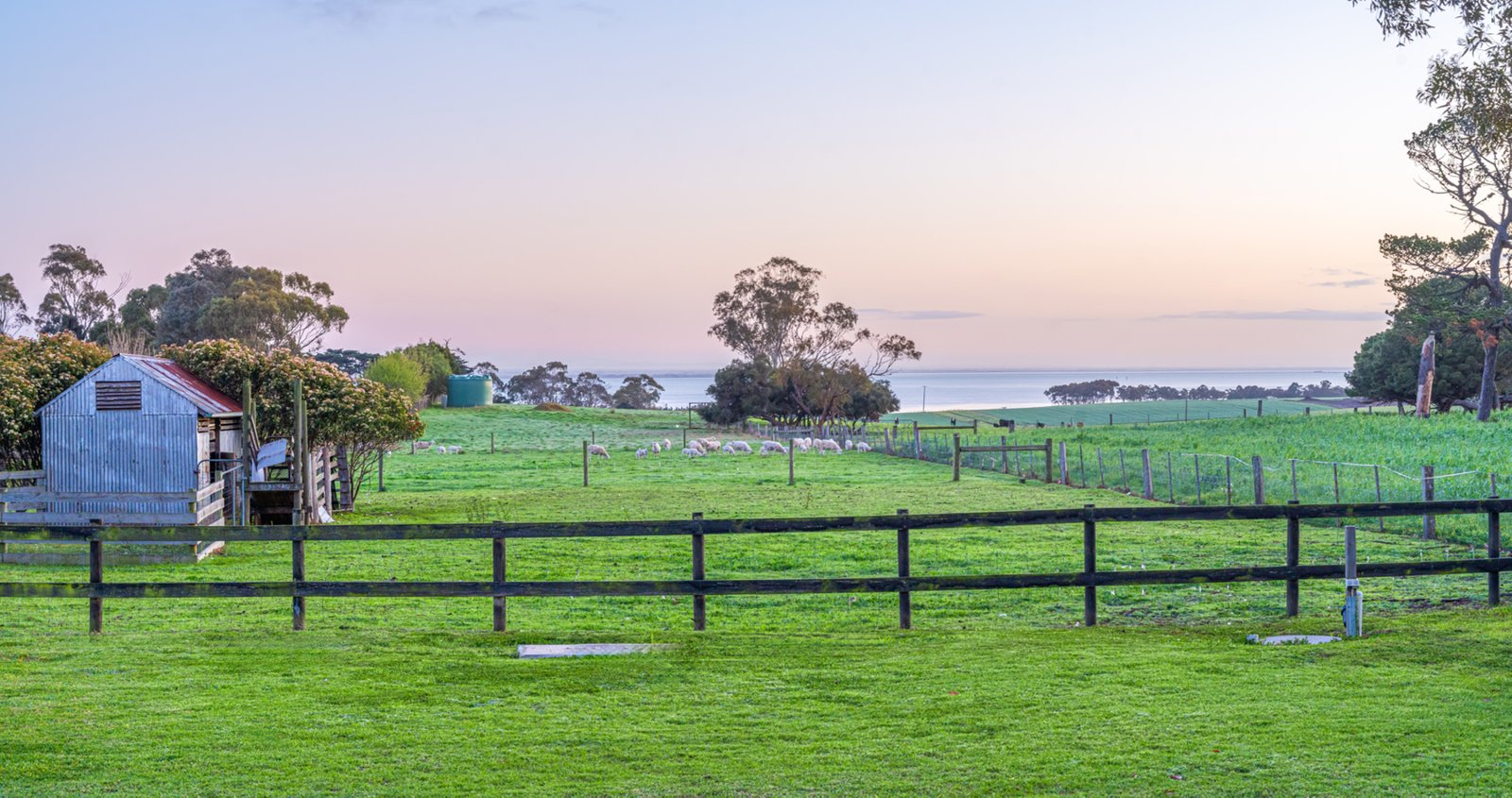Gallery: 867-869 Portarlington Road