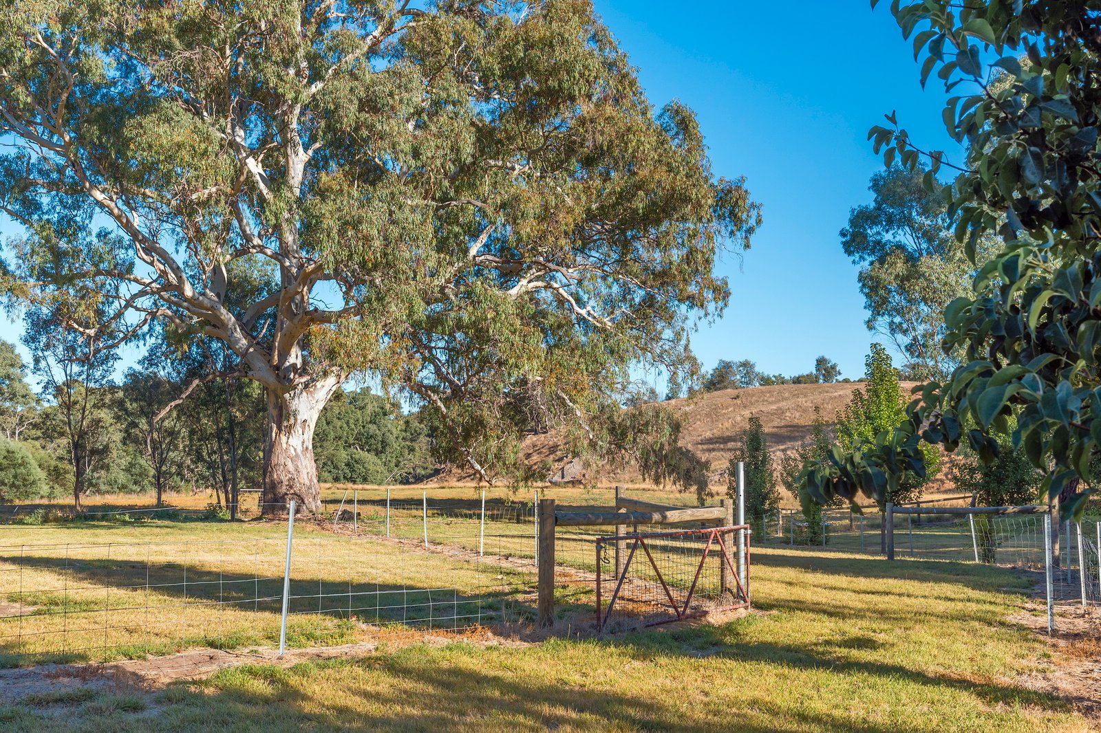 Real Estate and Property in 87 Burkes Lane, Redesdale, VIC