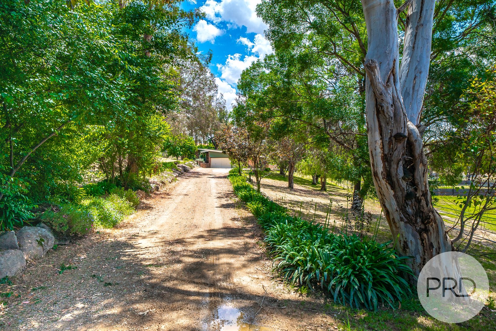 87 Hillary Street NORTH WAGGA WAGGA 2