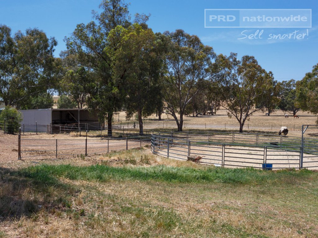 87 Hillary Street NORTH WAGGA WAGGA 21