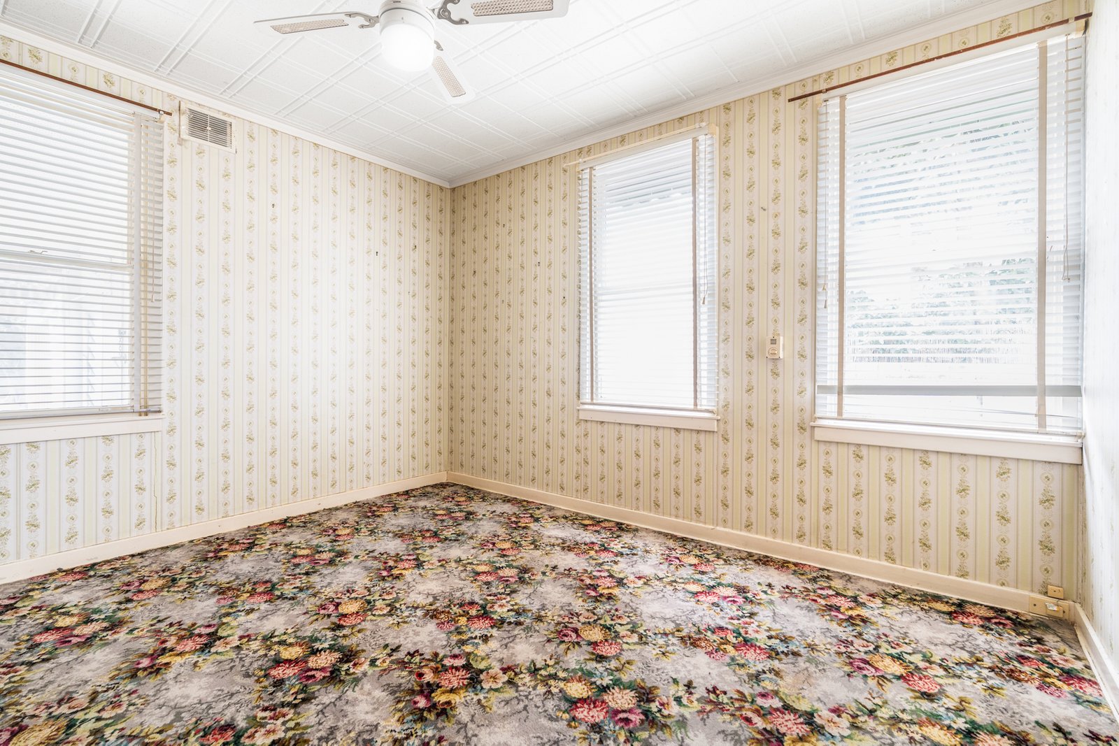 Gallery: 87 Plume Street