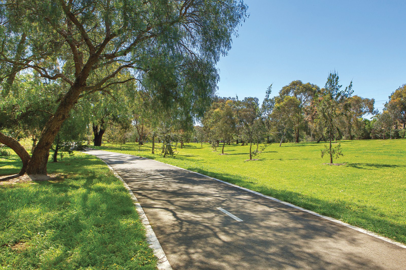 87 Talbot Crescent, Kooyong, VIC