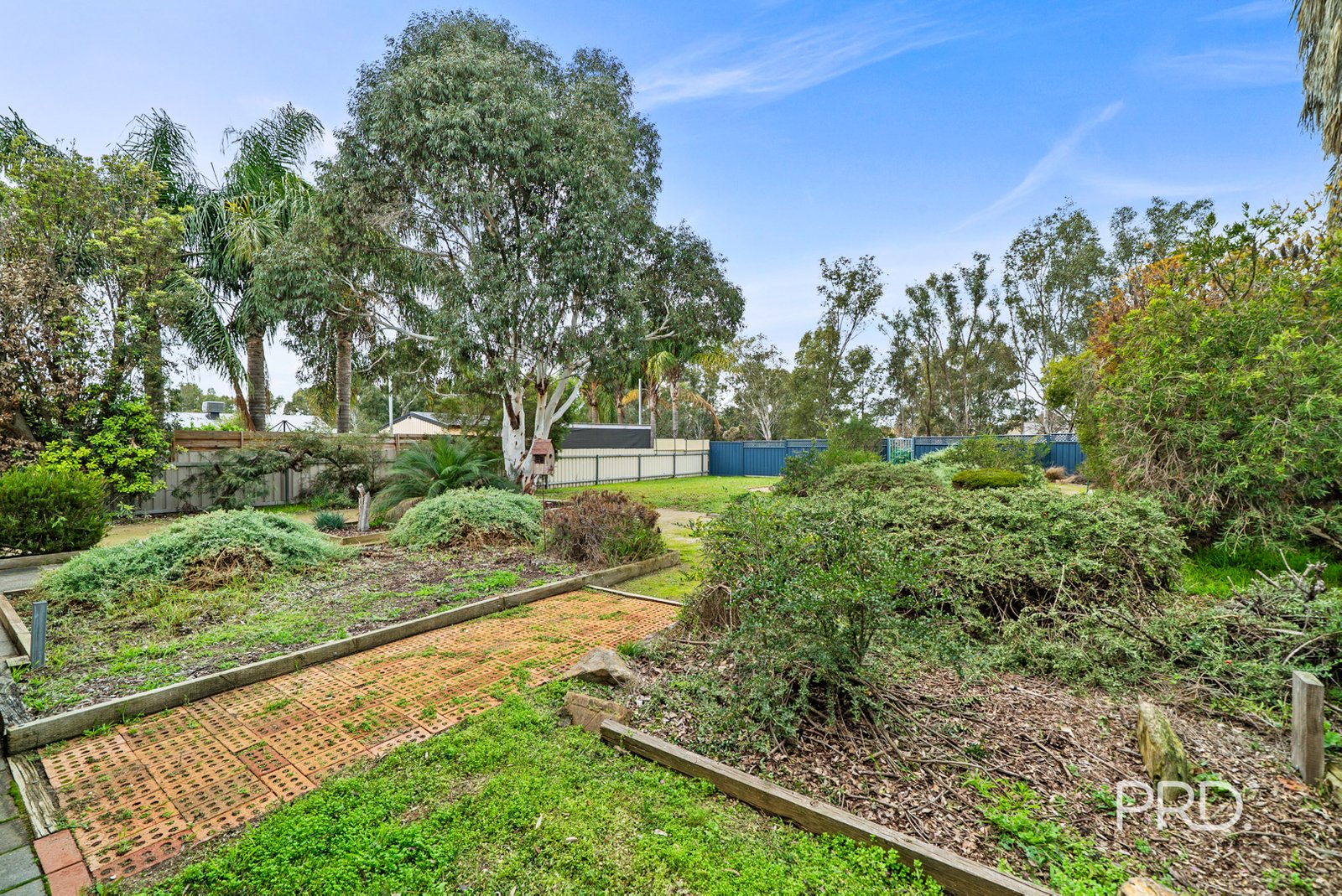 87 Veale Street ASHMONT 12
