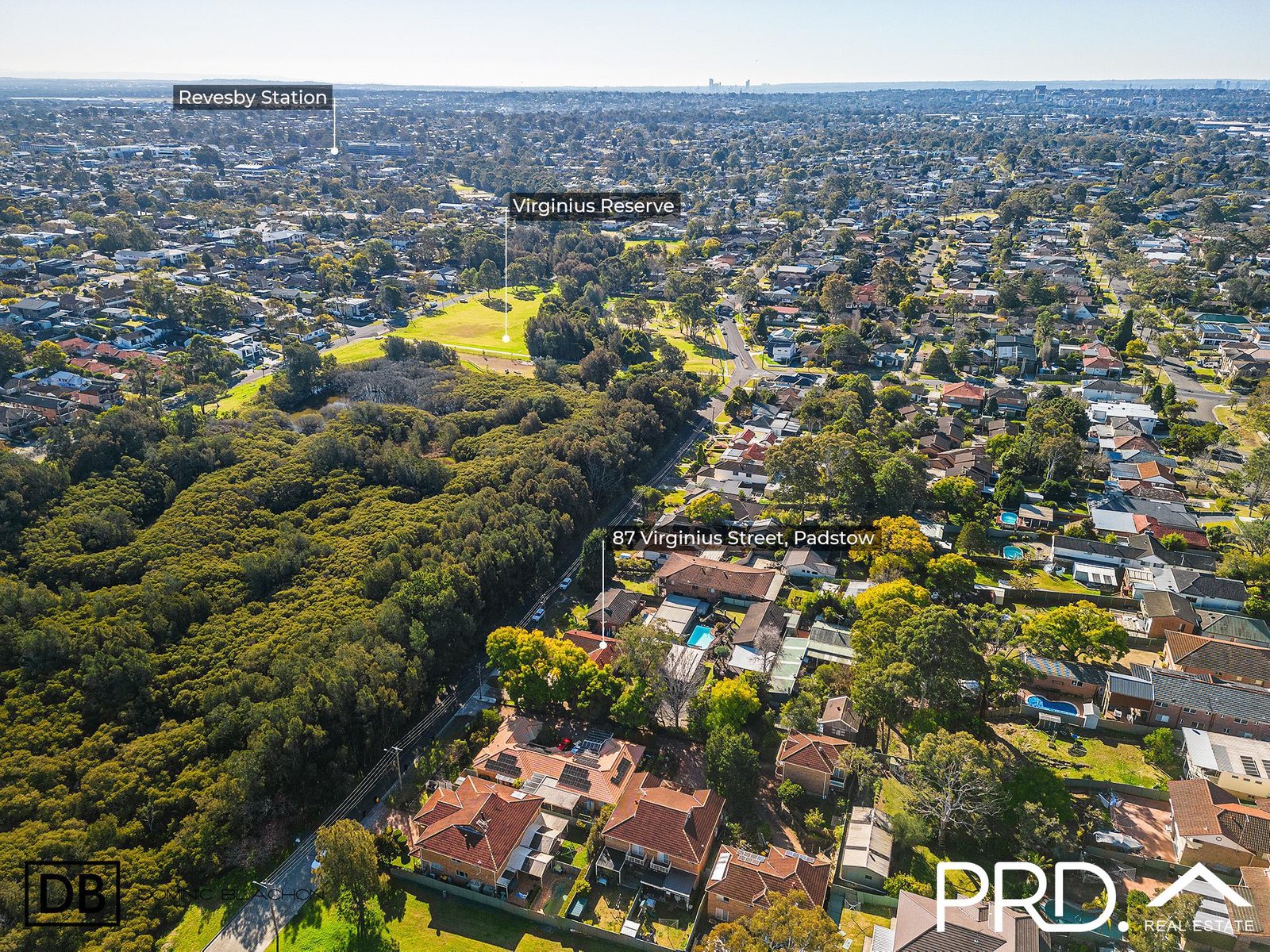 87 Virginius Street PADSTOW 9