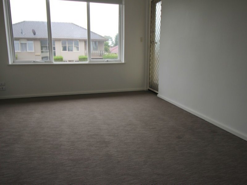 Gallery: 8/7 Weymar Street