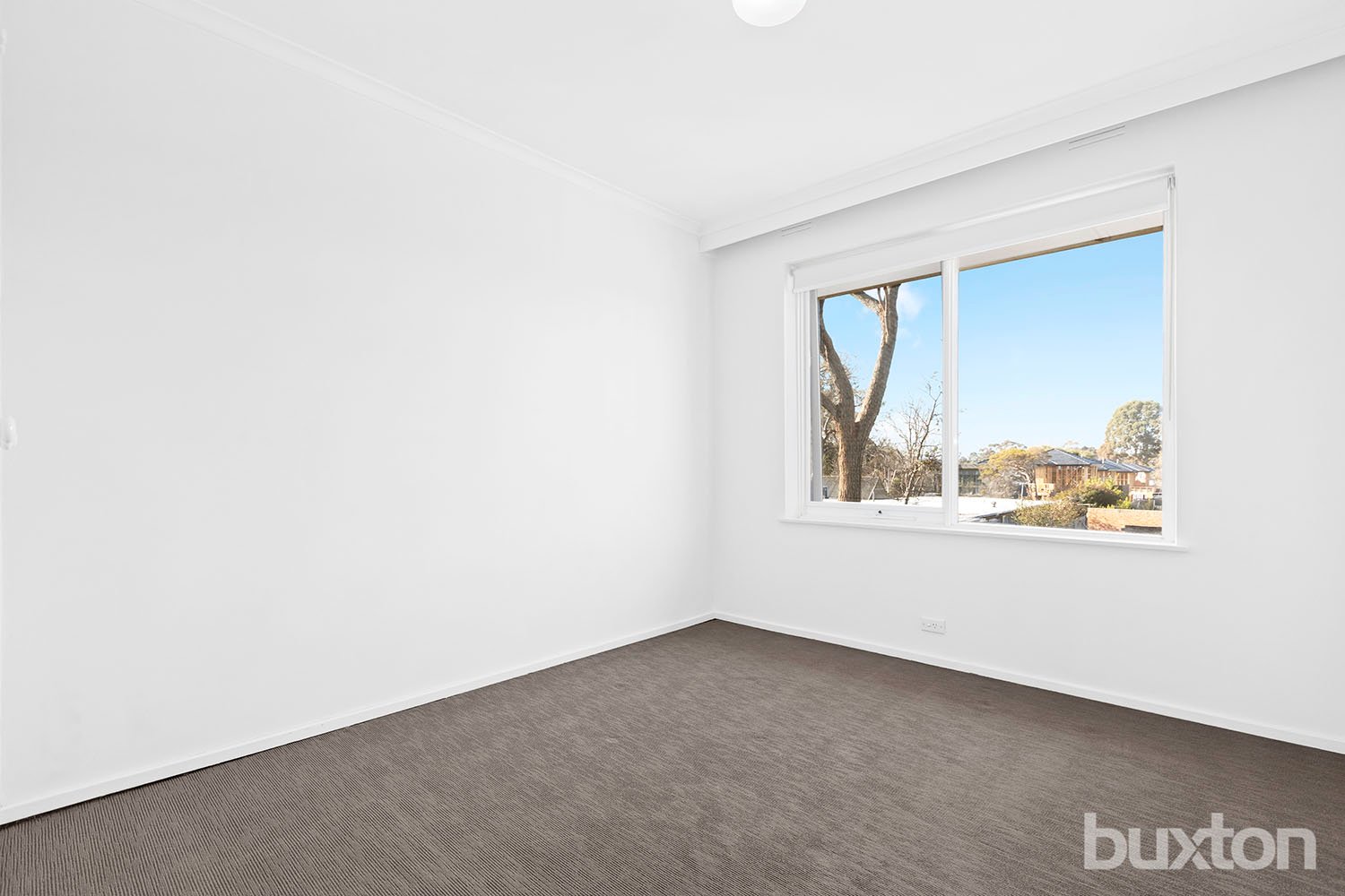 Gallery: 8/7 Weymar Street