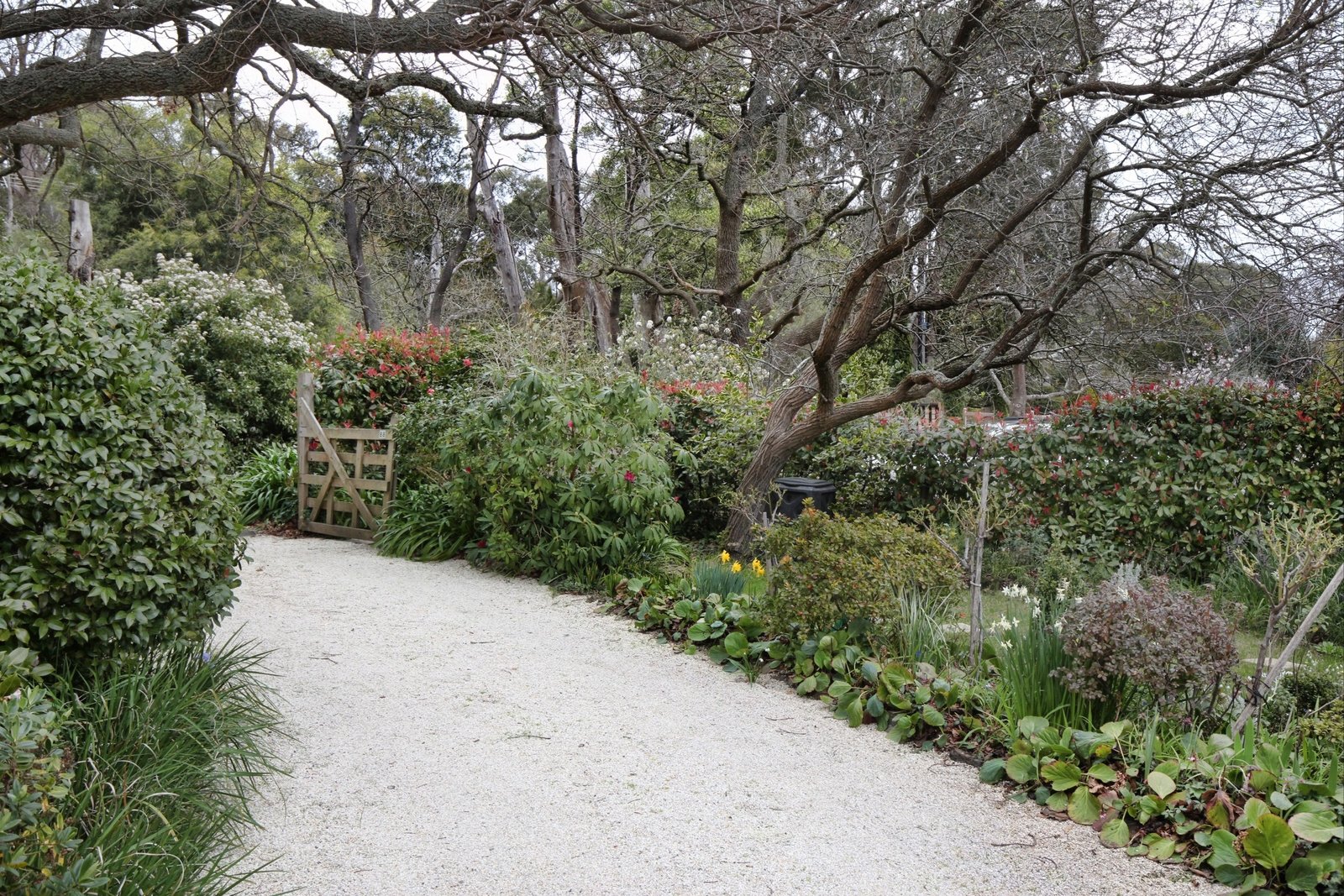 Real Estate and Property in 88 Carrington Street, Macedon, VIC