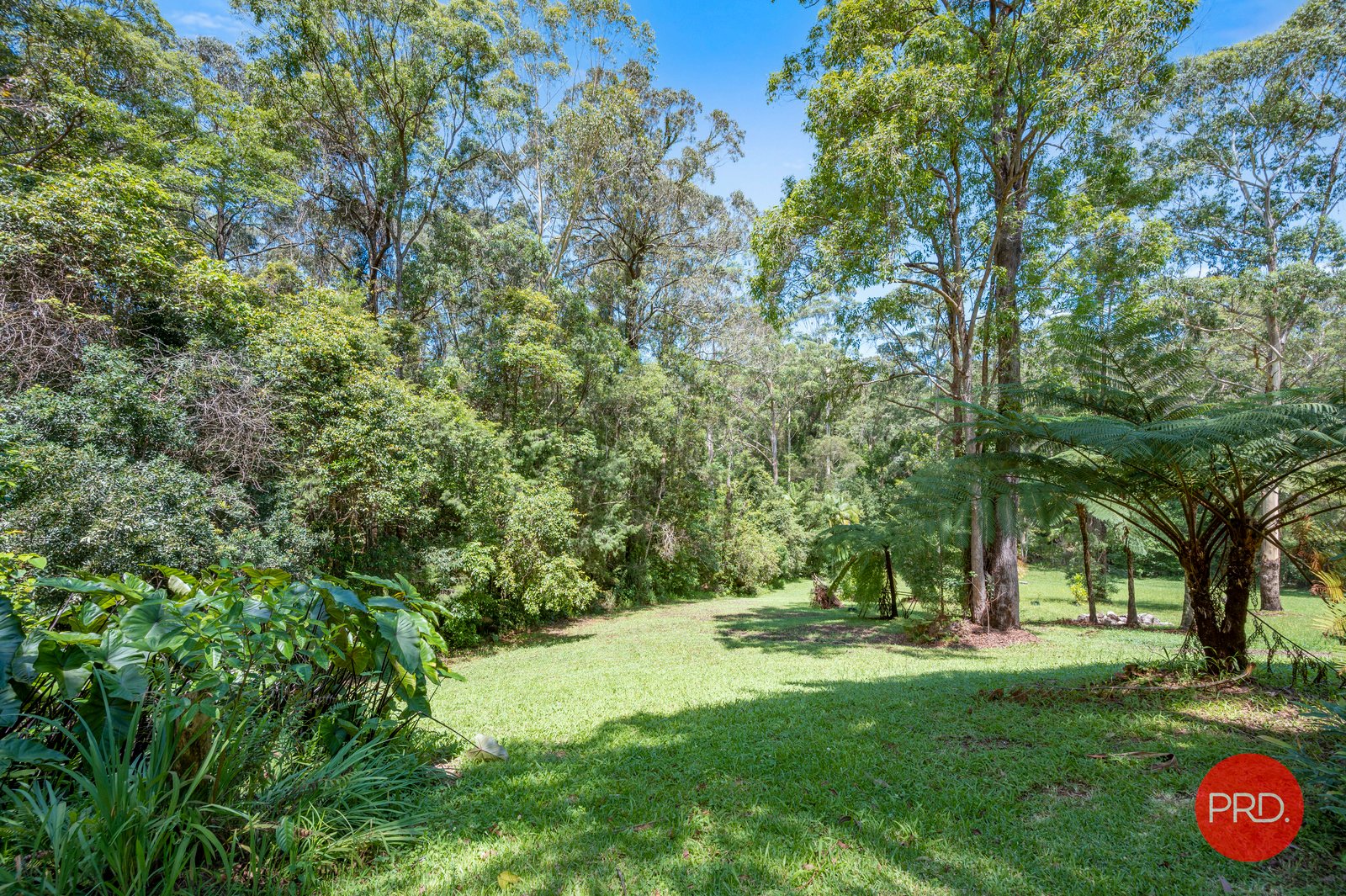 88 Forest Drive REPTON 20